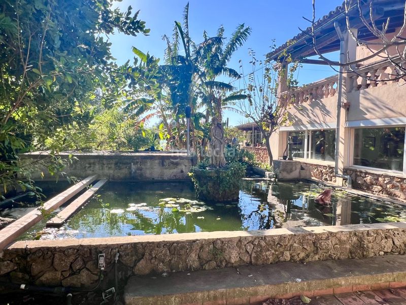 Foto f69596d0-848d-467b-82d8-492269a8a411. Masia amb piscina a Centro Inca