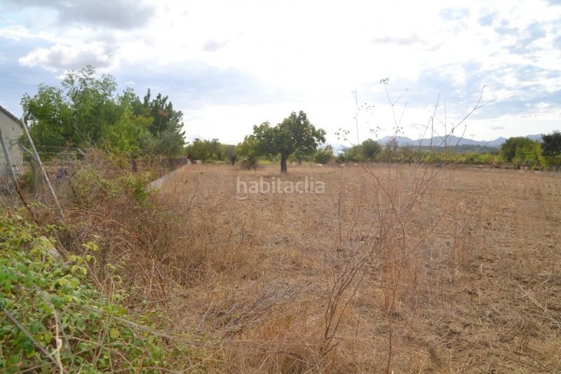 Foto 0797ba1c-d258-4245-995c-eda828389a68. Masia a Campanet