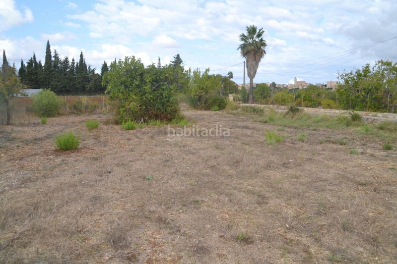 Foto 369cf3f8-1b8c-482b-9d50-c6617982e567. Masia a Campanet