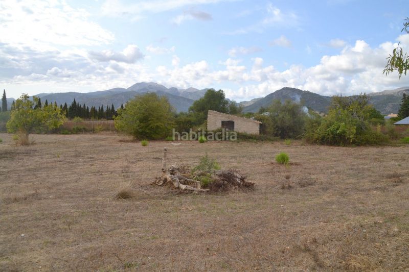 Foto 52f905cd-8340-4fe3-8e31-dffcc6019f53. Masia a Campanet