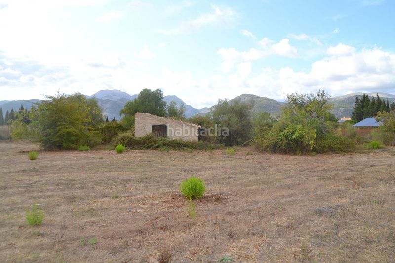 Foto 70cca278-1683-4442-884e-d17f9001c9cd. Masia a Campanet