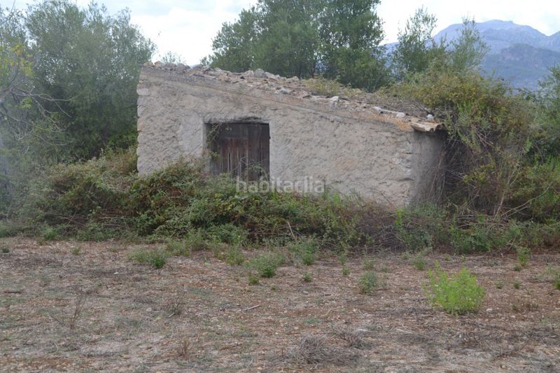 Foto 968a52ec-dfdd-47cb-a560-618e1457f229. Masia a Campanet