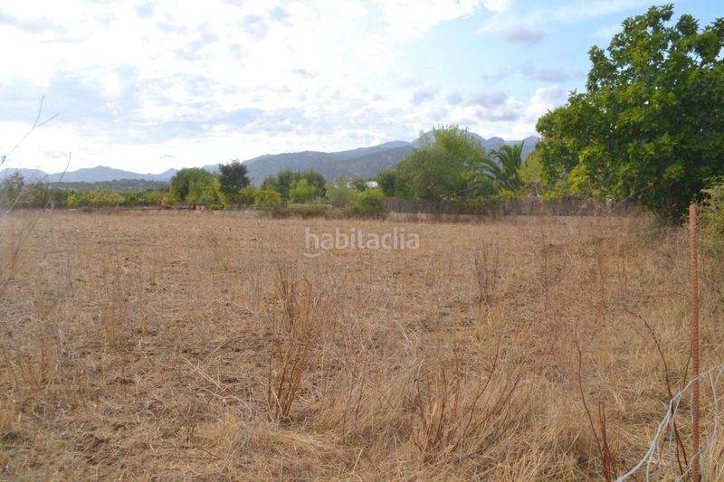Foto 97a0c2d4-895a-49fe-82d5-0be8ca7ecdf3. Masia a Campanet
