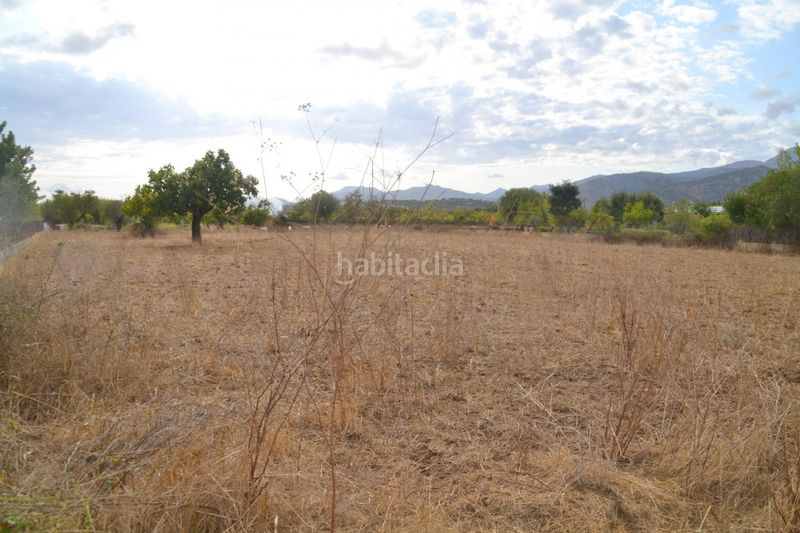 Foto ad4566bd-a7c0-4996-ab0b-514cc2d45fd7. Masia a Campanet