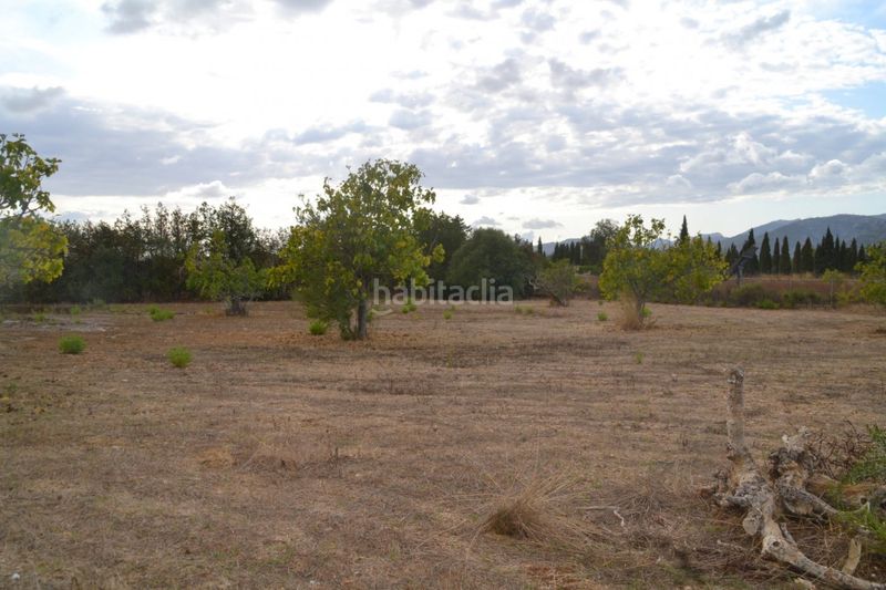 Foto d3364c4c-f5fd-4ef2-9f8c-7180b0e2e832. Masia a Campanet