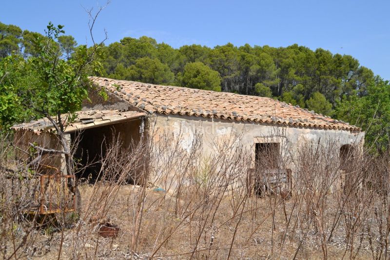 Foto 48aa68ce-2ba9-4629-b9c8-ec4df0a7dcab. Masia a Campanet