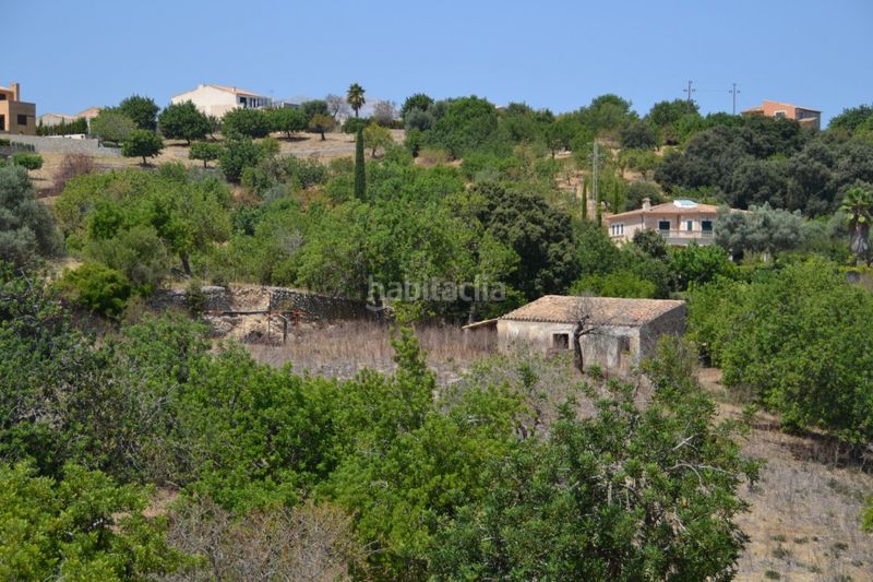 Foto 4ea40e6e-3d4e-4542-932b-60518f7294ec. Masia a Campanet