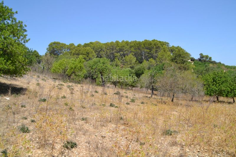 Foto 705f1ba3-d71a-4ee1-8c79-3821e963778f. Masia a Campanet