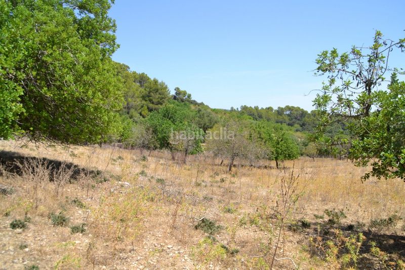 Foto 8532a44b-0926-4020-95d7-4b0959c0875a. Masia a Campanet