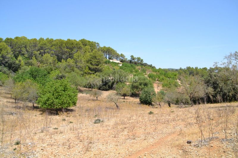 Foto e2a03df6-f812-467b-a8e5-e17b40ebf9d5. Masia a Campanet