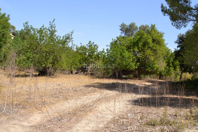 Foto e8fc50dc-7db5-4168-901f-eda1f7a15a1d. Masia a Campanet