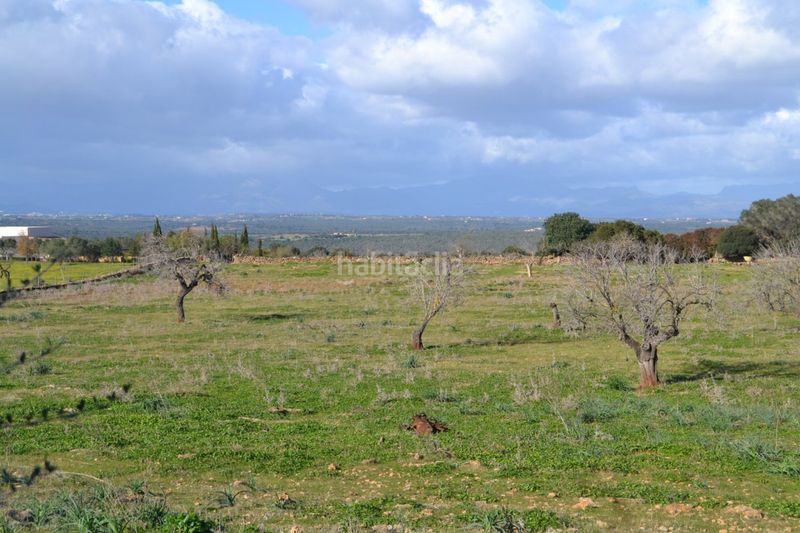 Foto 1a874db2-2d3d-4f24-a926-738c3d6e67a2. Masia a Manacor centre Manacor