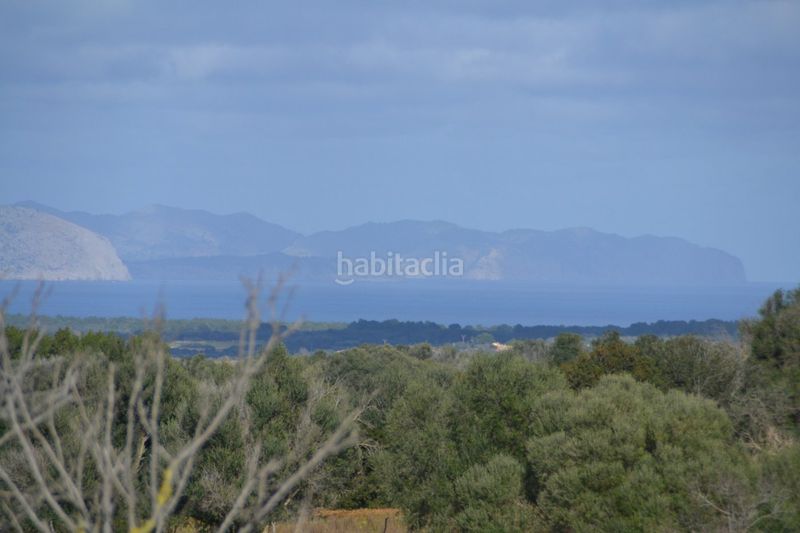 Foto a4e87d3f-14dd-43b6-b957-4eac31b9cf5c. Masia a Manacor centre Manacor