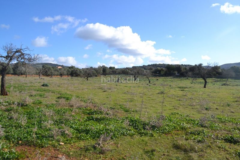 Foto b870fab0-865e-4889-86a1-5a463d142416. Masia a Manacor centre Manacor