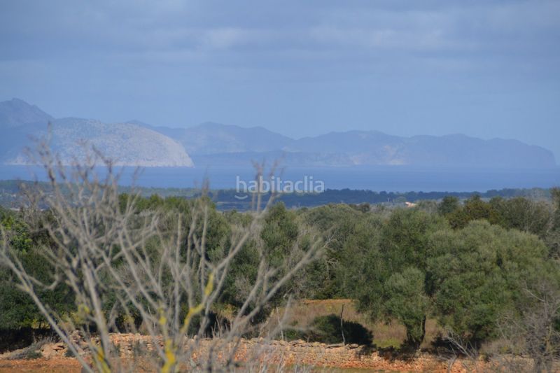 Foto bbf56e2e-8645-4ddb-9038-29bb9f5e2484. Masia a Manacor centre Manacor