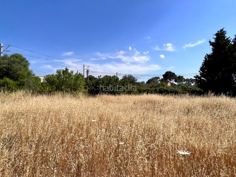 Foto 1a31cf5f-7b98-470e-ac63-b43b684c7a15. Masia a Muro