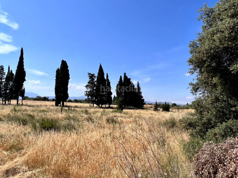 Foto 532350b5-1795-4a5b-8028-1d5bc9c150b8. Masia a Muro