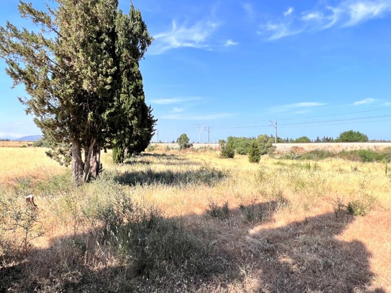 Foto 5c973001-b960-4efa-bbe5-afc631cc8c26. Masia a Muro