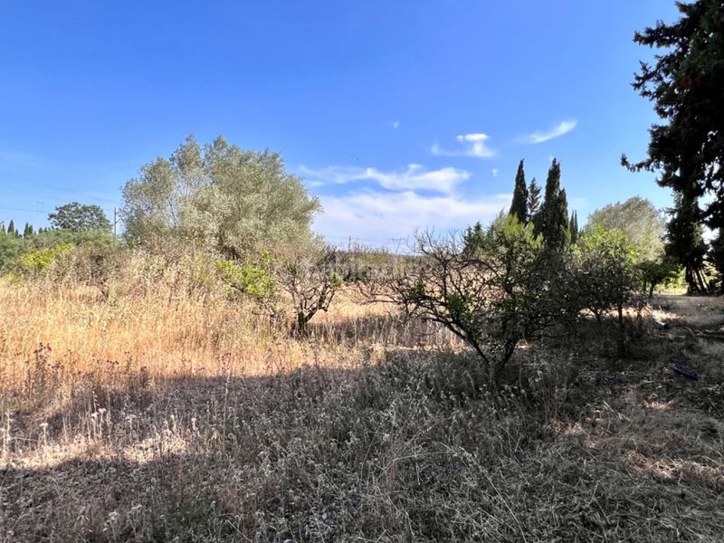 Foto 97ff3dfe-a55d-4b29-868f-03dd9fa09fdd. Masia a Muro