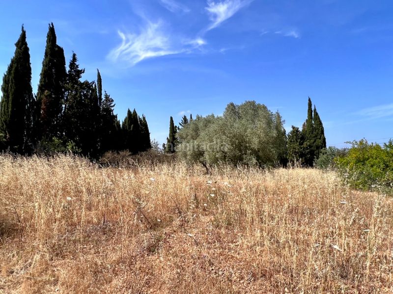 Foto 9d9b0068-41ce-4e40-86b4-52619d00b1ee. Masia a Muro