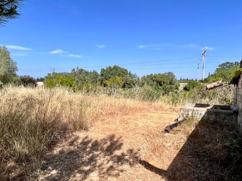 Foto dfe390cd-1126-43e1-8b74-d86245a83c15. Masia a Muro