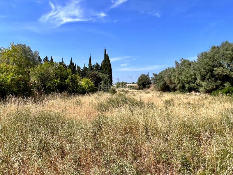 Foto eacc22b5-ff53-432b-abb2-5c48b76de2a1. Masia a Muro