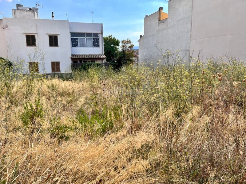 Foto 4245cca0-160f-48f8-9e05-0dcb3f605a96. Terreny residencial a Campanet