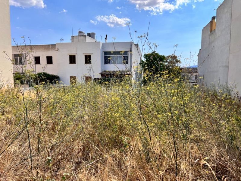 Foto 65061210-75a8-43a7-89e9-385547f1ab37. Terreny residencial a Campanet