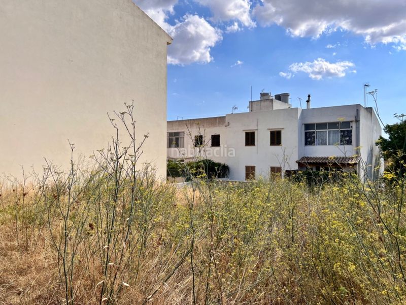 Foto b6390d8a-88db-42b2-b030-11597f6b4af9. Terreny residencial a Campanet