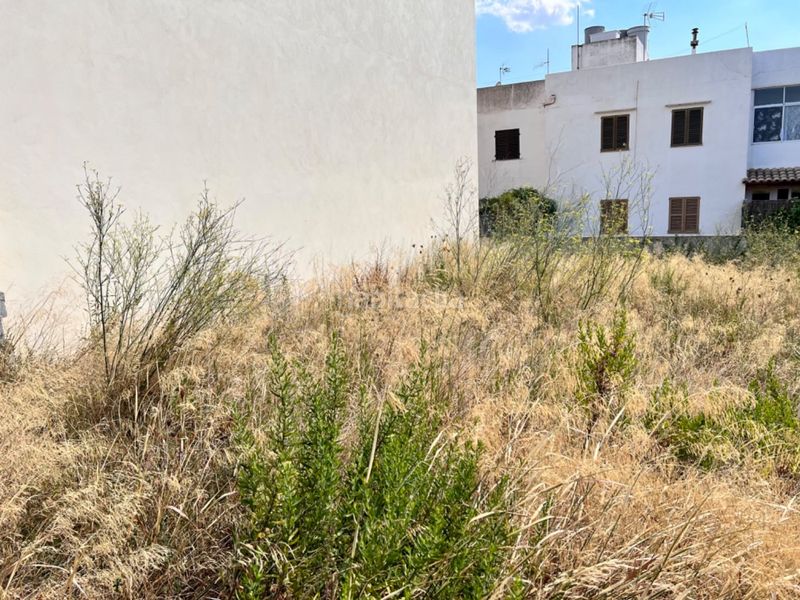 Foto b780b882-574d-4905-8eb8-a3c351479edc. Terreny residencial a Campanet