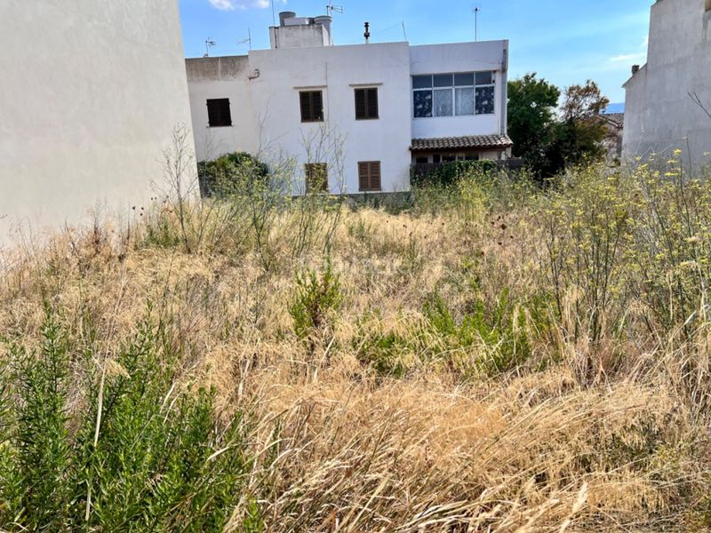 Foto db3905ff-6094-47fb-ac63-21c0b53f4a7b. Terreny residencial a Campanet