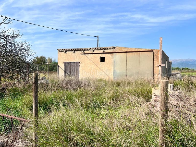Foto 10ccf2e8-8c00-4b87-9dc4-b53f7d4e3a7f. Masia a Sa Pobla