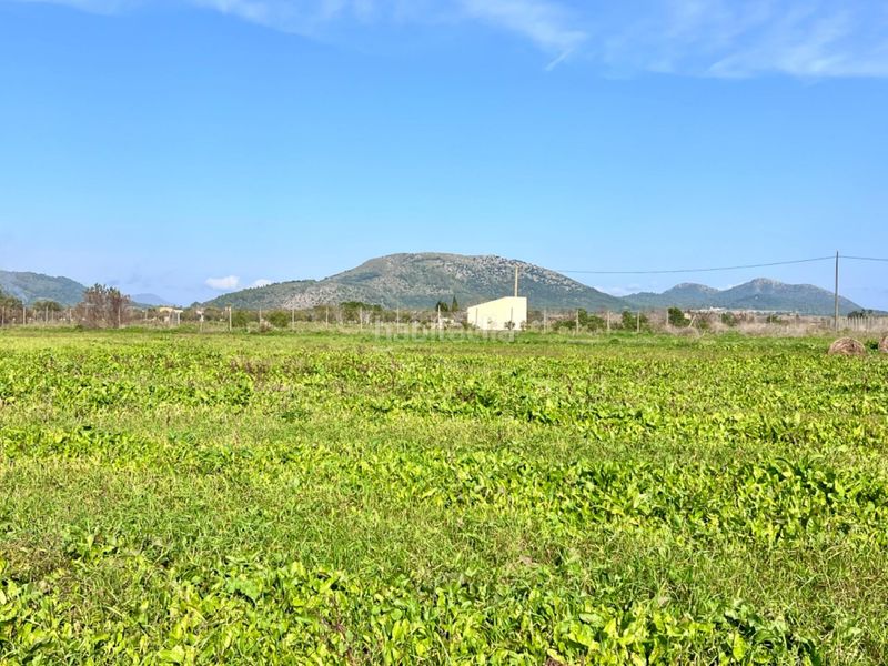 Foto dbbb7878-fcce-4084-a32d-7d79089ed638. Masia a Sa Pobla