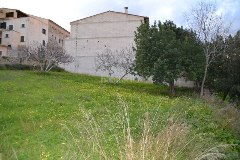 Foto 07182c2b-94ff-4b47-a3d2-2ab9c2dd1bb1. Terreny residencial a Campanet