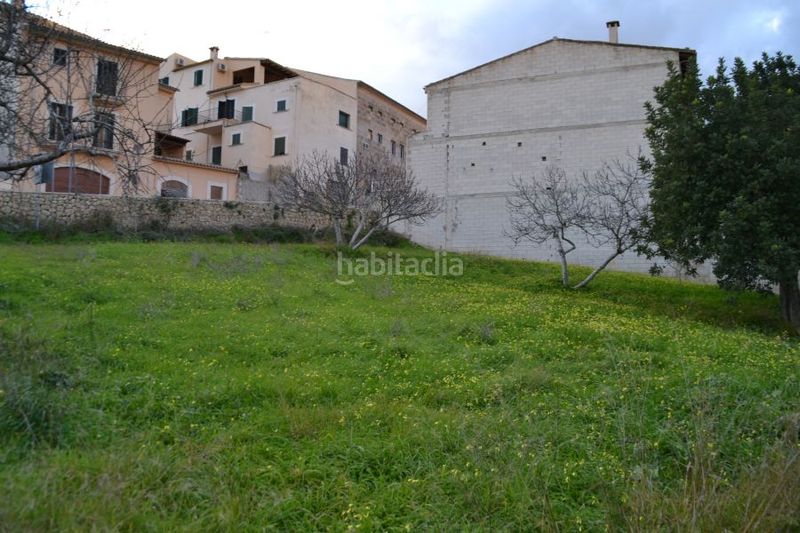 Foto 371a9199-8099-4941-900c-9aece0fba09f. Terreny residencial a Campanet
