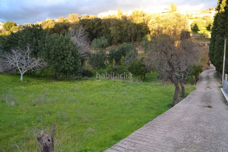 Foto 3ebd988d-a3c4-4334-b707-4de4881e4131. Terreny residencial a Campanet
