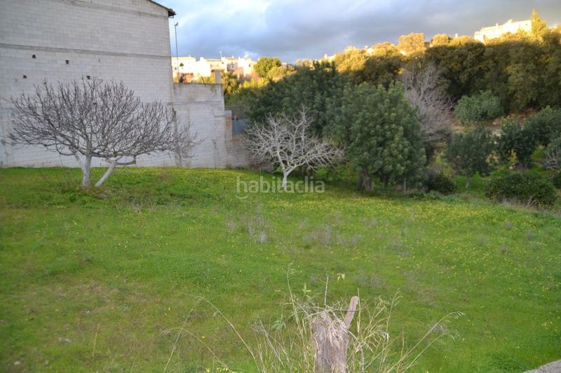 Foto d105392a-d600-4da9-9148-75bb6b10eab9. Terreny residencial a Campanet