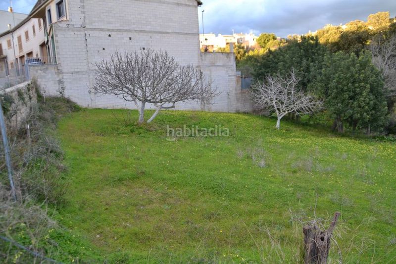 Foto e0b76ade-904f-4005-b8b9-5184aa484fd8. Terreny residencial a Campanet