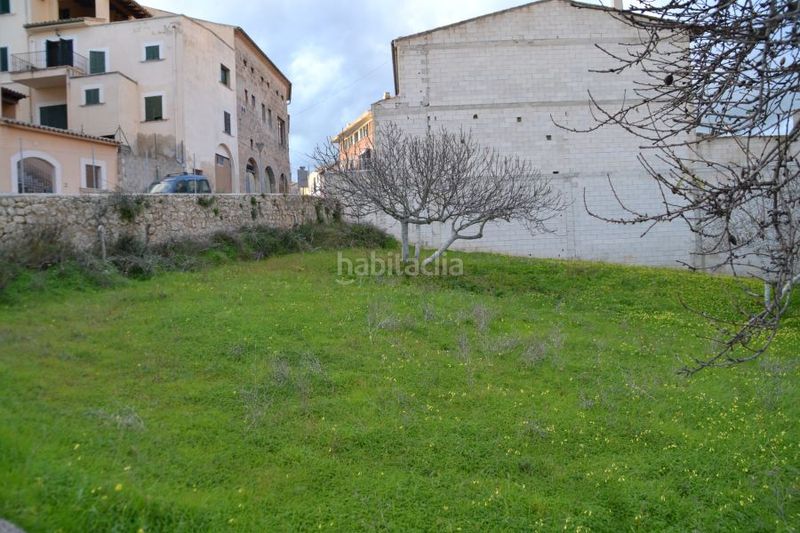 Foto e3dd94ce-7fdd-4d80-bc23-2fdf6d86f8c8. Terreny residencial a Campanet