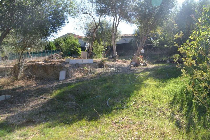 Foto 0c380f02-60f5-41af-8933-e58dc4efea03. Terreny residencial a Campanet