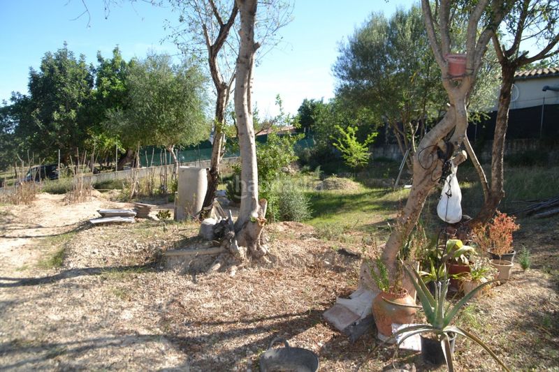 Foto 11131b51-821e-4c92-80da-daff84229aae. Terreny residencial a Campanet
