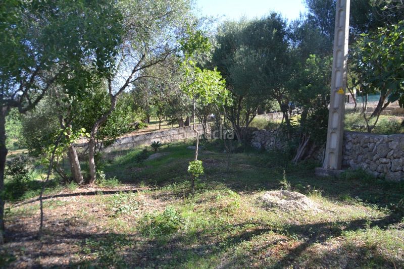 Foto 3d35f83d-63cf-4625-bfa9-c33b1c8fb42e. Terreny residencial a Campanet