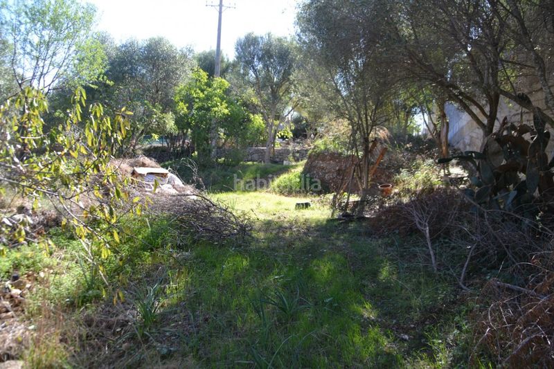 Foto 422e66b2-58e2-4235-b5c3-d91eb83d30f3. Terreny residencial a Campanet
