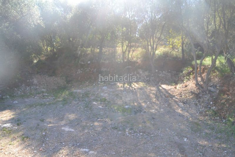Foto 5fb40109-7b17-471f-9438-d4a80786e150. Terreny residencial a Campanet