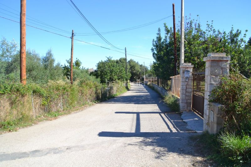Foto 62219158-f525-446a-a960-b62d8fa4db8a. Terreny residencial a Campanet