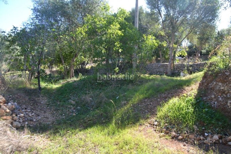 Foto 68e4d71f-ba85-4485-a7eb-8321b371e8a1. Terreny residencial a Campanet