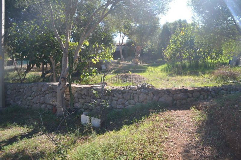 Foto 8a03bef0-44e3-47e4-93a9-fec16ac85282. Terreny residencial a Campanet
