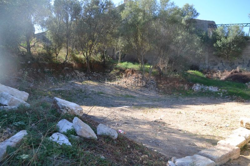 Foto b24b1e2c-3242-48c7-83e1-c168e227f14d. Terreny residencial a Campanet