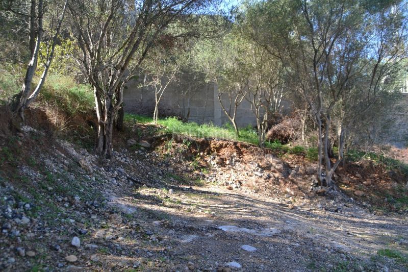 Foto badcafab-0e27-41e1-b3ab-7c18ae5de756. Terreny residencial a Campanet