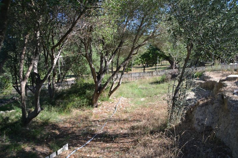 Foto fa159e21-583c-47e5-b853-65c9506085f7. Terreny residencial a Campanet
